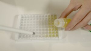 Filling microplate with pipette and Bufer-X liquid Formula-X Lviv 2019 Race